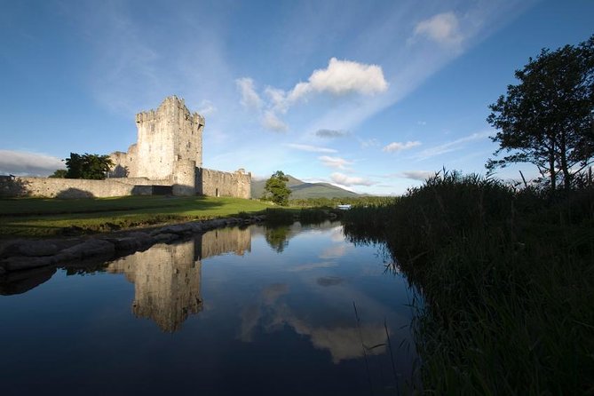 Private Tour. Ring of Kerry From Cork - Traveler Feedback