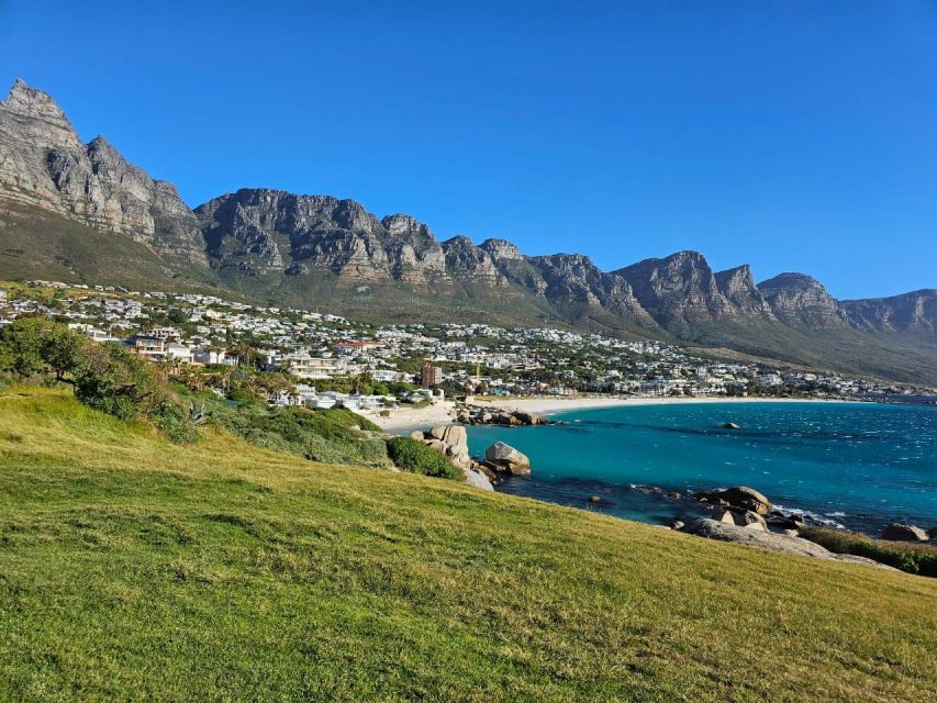 Private Tour: Table Mountain, Penguins Colony & Cape Of Good - Chapmans Peak Drive & Ocean Vistas