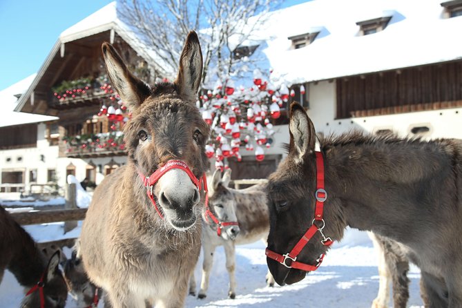 Private Tour to Aiderbichl Animal Welfare Centre From Salzburg - Guided Tour on Conservation Work