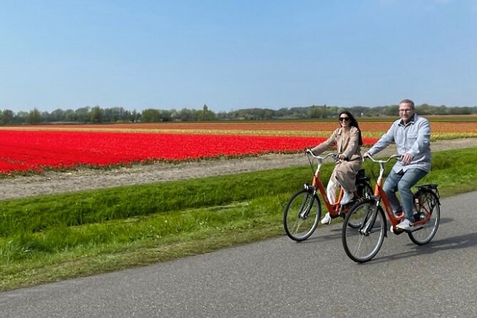 Private Tour to Keukenhof Gardens With Guide - Full Day Tour From Amsterdam - Traveler Feedback and Reviews Overview