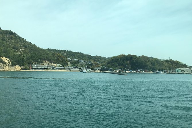 Private Tour: Visit Naoshima Art Island With an Expert - Expert Guidance