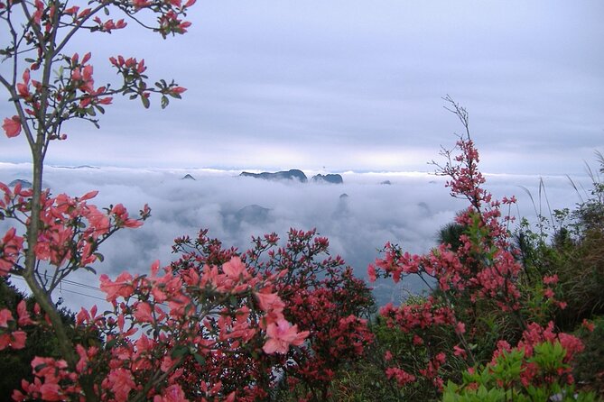 Private Tour: Yao Mountain and Tea Plantation From Guilin - Pricing Information