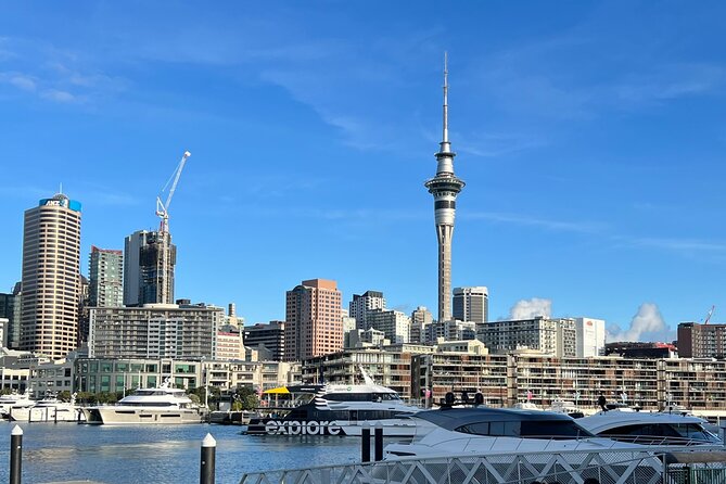 Private Transfer From Auckland City To Auckland Airport - Traveler Testimonials