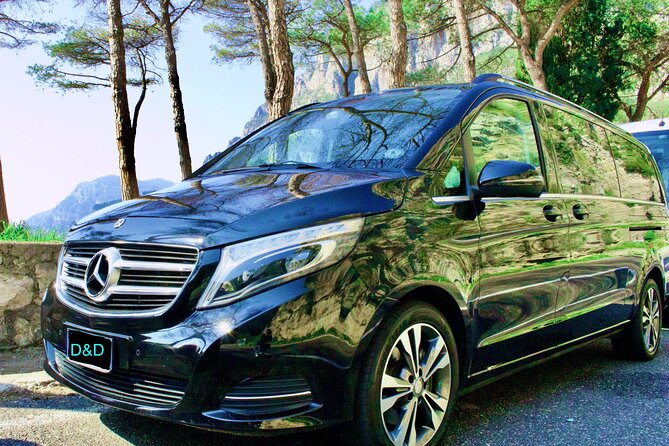 Private Transfer From Naples to Sorrento or From Sorrento to Naples - Reviews Overview and Ratings