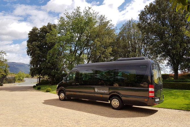 Private Transfer Madrid Barajas Airport to Madrid in Vans up to 7 Passengers - Customer Reviews and Insights