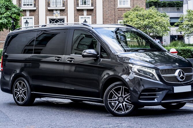 Private Transfer: SIN Airport to Singapore in Luxury Van - Hassle-Free Pickup Experience