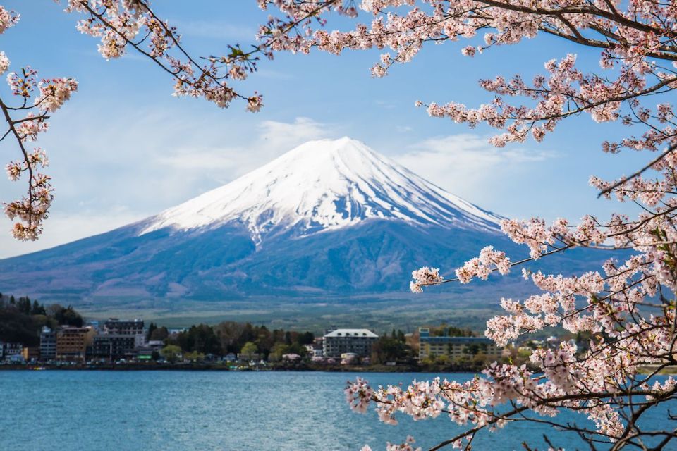 Private Transportation MT Fuji and Hakone Full Day Trip - Booking Information