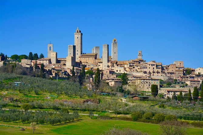 Private Tuscany Day Tour: San Gimignano and Chianti Wine Region From Florence - Reviews and Ratings