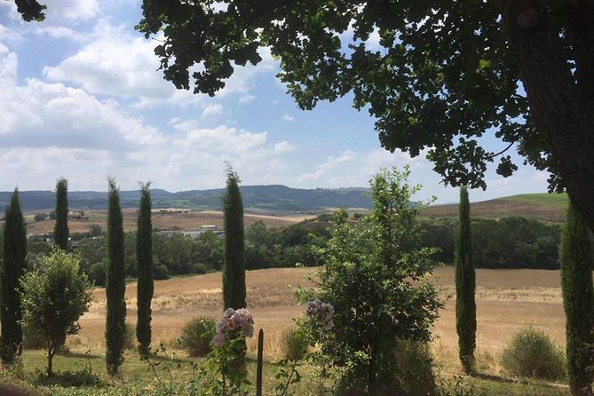 Private Tuscany Wine Tour Experience From Florence - Pricing and Inclusions