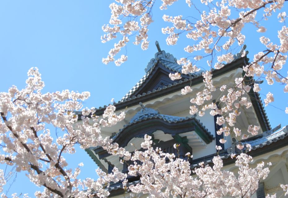 Private & Unique Kanazawa Cherry Blossom "Sakura" Experience - Location and Accessibility