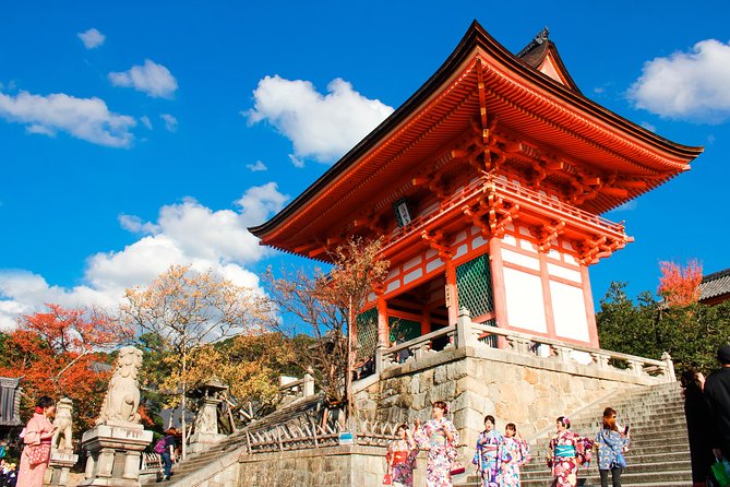 Private & Unique Kyoto Cherry Blossom "Sakura" Experience - Experience Highlights