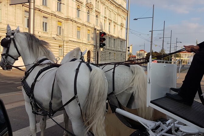 Private Vienna Sightseeing Tour Matching to Personal Interests - Exclusive Insider Access