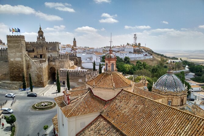 Private Visit to Carmona and Its Main Monuments - Product Details