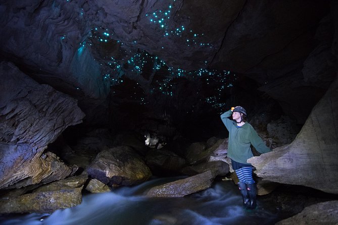 Private Waitomo Glowworm Cave Tours - Tour Experience Highlights