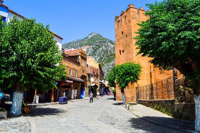 Private Walking Tour of Chefchaouen (The Blue City) - Tour Highlights and Service Quality