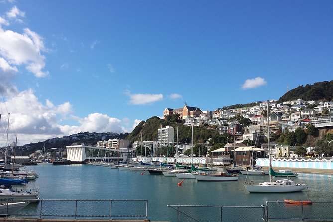 Private Wellington Full Day Sightseeing Tour - Cancellation Policy Details