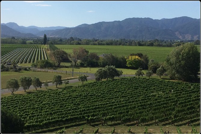 Private Wine Gourmet and Scenic Delights Tour From Picton - Pricing and Booking Information