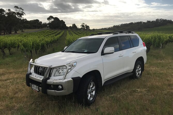 Private Wine Tours McLaren Vale and Surrounding Areas - Expert Guide Insights