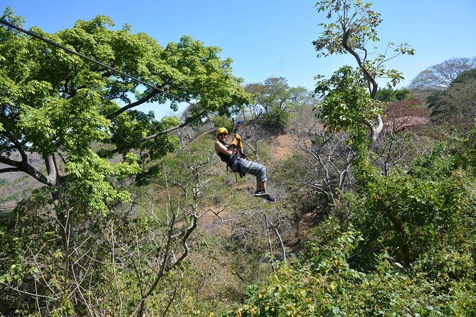 Private Ziplining Tour Through the Costa Rican Forest  - Playa Flamingo - Viator Reviews and Traveler Photos