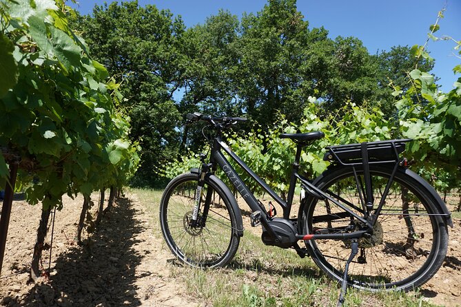 Provence and Wine Tasting by E-Bike From Saint-Rémy-De-Provence - Additional Details