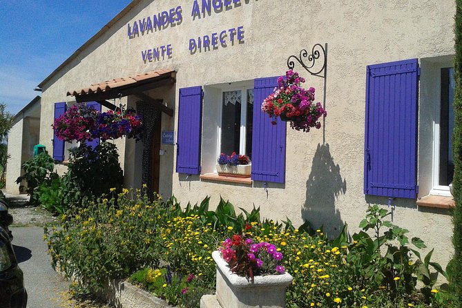 Provence Lavender Fields Tour in Valensole From Marseille - Improvements and Recommendations