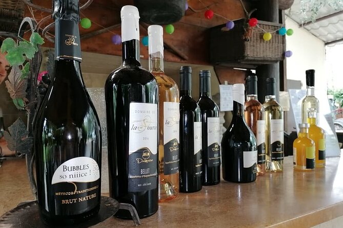 Provence Organic Wine Small Group Half Day Tour With Tastings From Nice - Review Insights