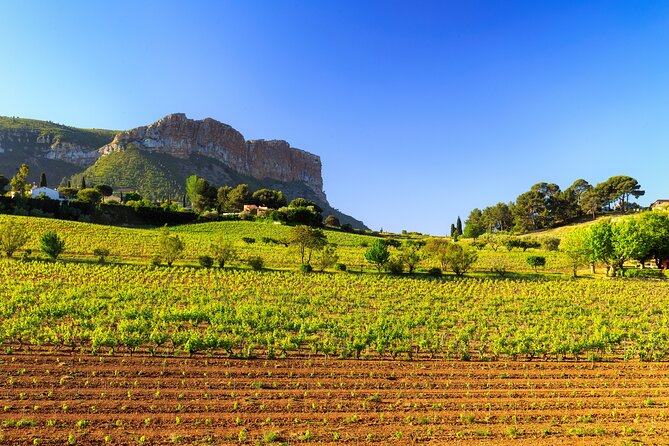Provence Small Group Wine Full Day Tour in Chateauneuf Du Pape Vineyard From Aix - Support and Assistance