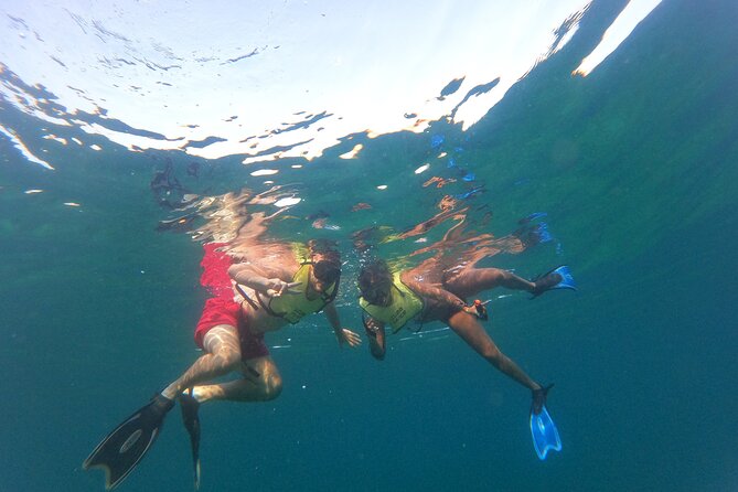 Public Guided Snorkel Tour of Fort Lauderdale Reefs - Traveler Experience