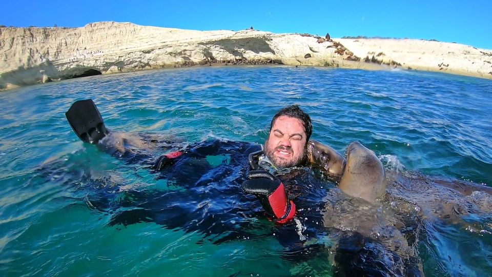 Puerto Madryn: 3-Hour Snorkeling Trip With Sea Lions - Experience Highlights and Inclusions