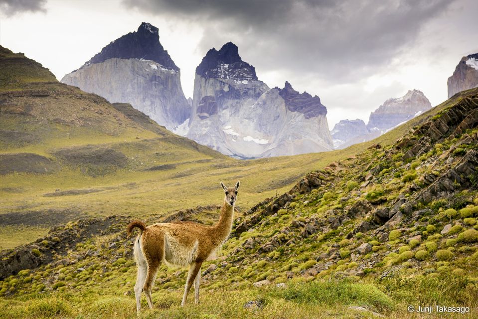 Puerto Natales: Full Day Tour Torres Del Paine National Park - Important Information
