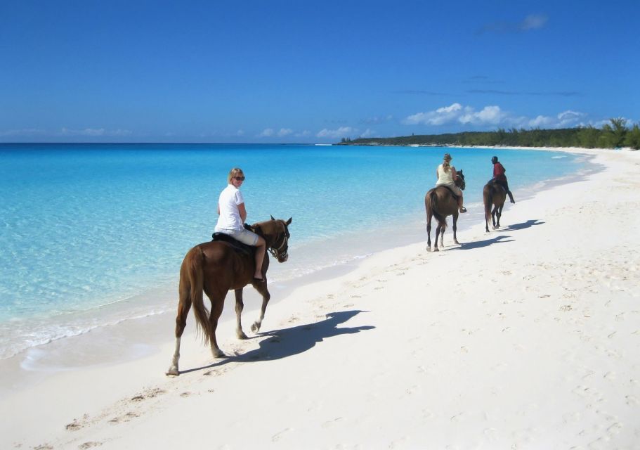 Puerto Plata: Horseback Riding on the Beach - Location and Details