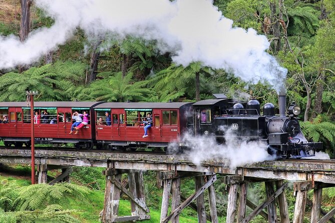 Puffing Billy And Phillip Island Penguin Parade Bus Tour - Traveler Tips