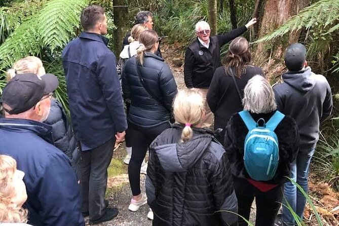 Punakaiki Blow Holes & Pancake Rocks Scenic Tour - Cancellation Policy and Reviews