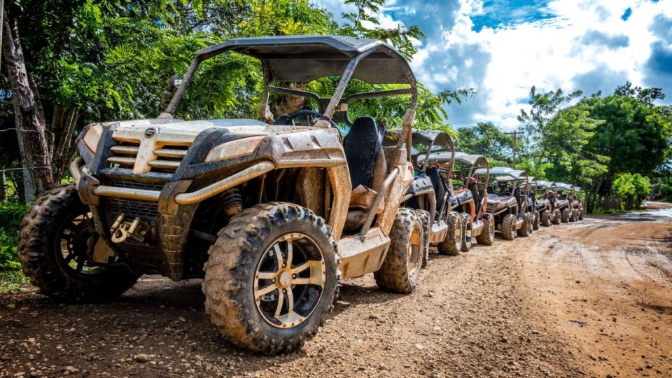 Punta Cana: Amazing Buggy Polaris and 4wheels - Experience Itinerary Overview