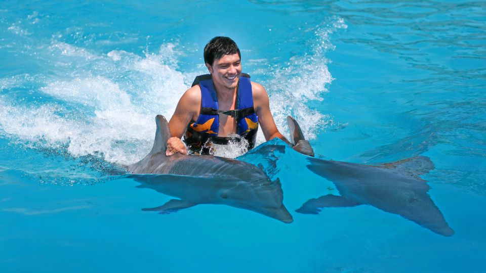 Punta Cana: Dolphin Discovery Swims and Encounters - Review Summary