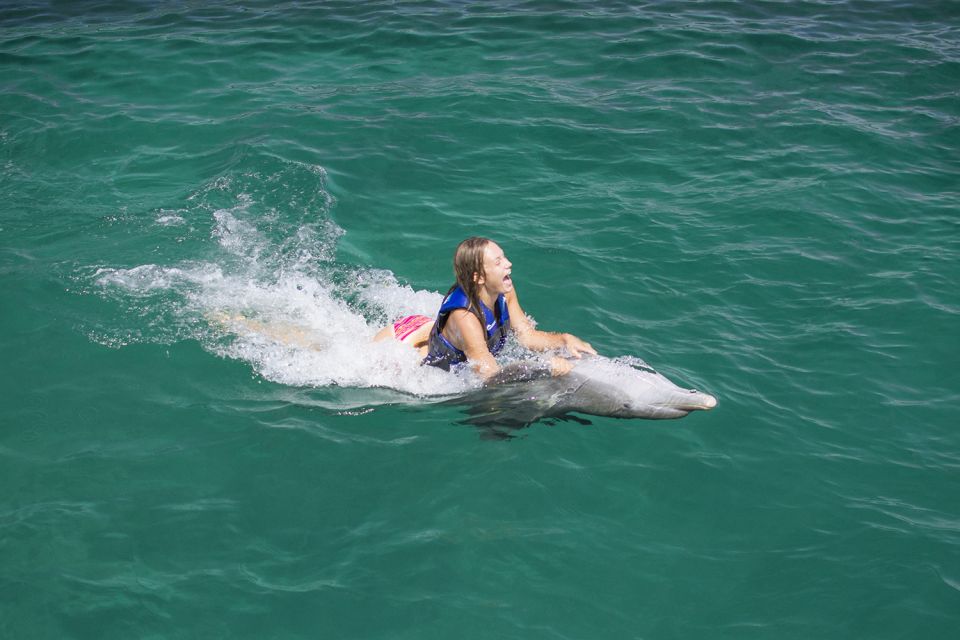 Punta Cana: Dolphin Explorer Swims and Interactions - Dolphin Swim Experience Highlights