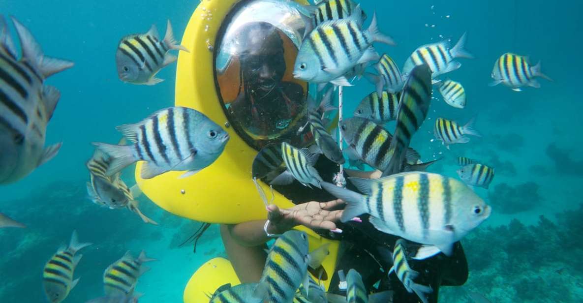 Punta Cana: Scubadoo Ocean Exploration Diving Adventure - Common questions