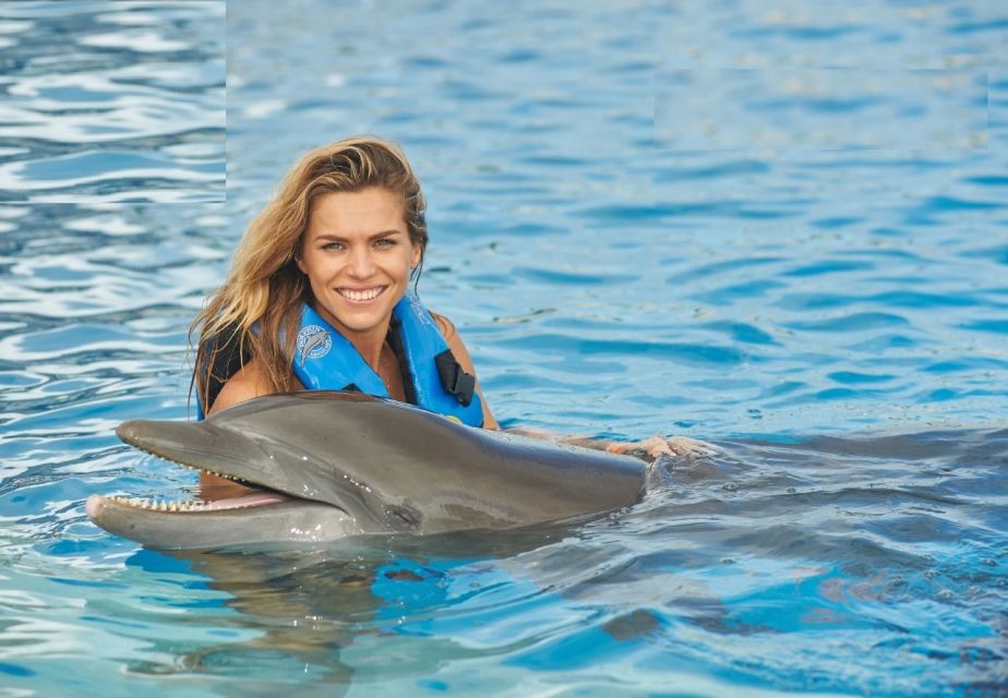 Punta Cana: Swim With Dolphins in the Pool - Location: Punta Cana, Dominican Republic