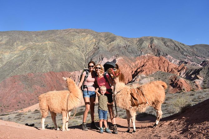 4 purmamarca walk with llamas Purmamarca Walk With Llamas