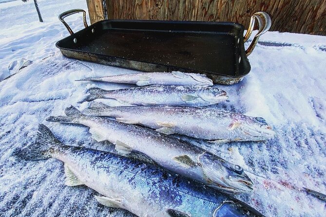 Quick and Easy Ice Fishing at Chena Lake - Last Words