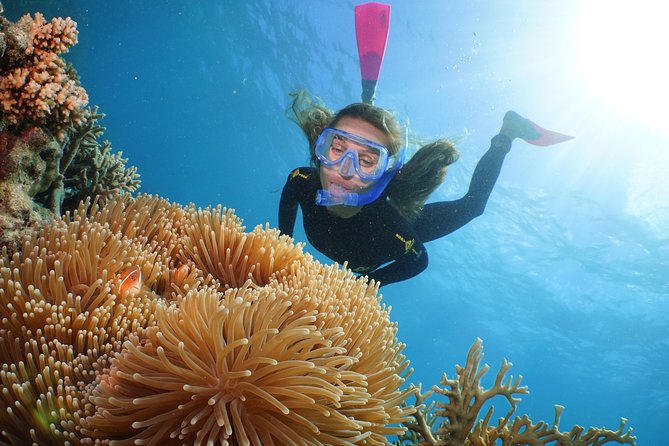Quicksilver Outer Great Barrier Reef Snorkel Cruise From Palm Cove - Submarine Adventure