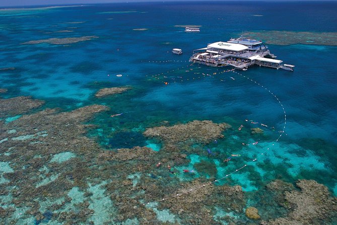 Quicksilver Outer Great Barrier Reef Snorkel Cruise From Port Douglas - Feedback and Challenges