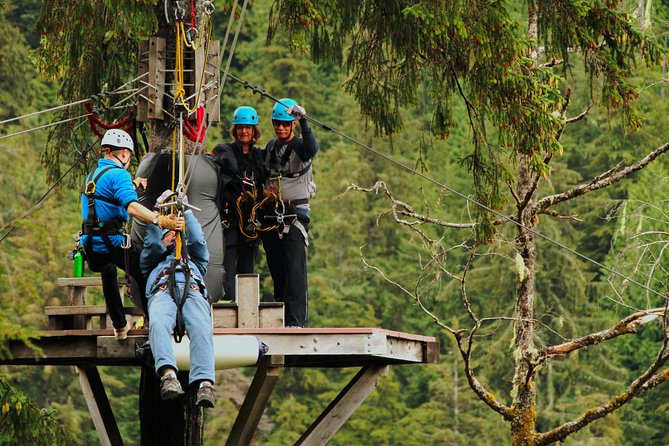 Rainforest Zip, Skybridge & Rappel Adventure in Ketchikan, AK - Customer Experience Feedback