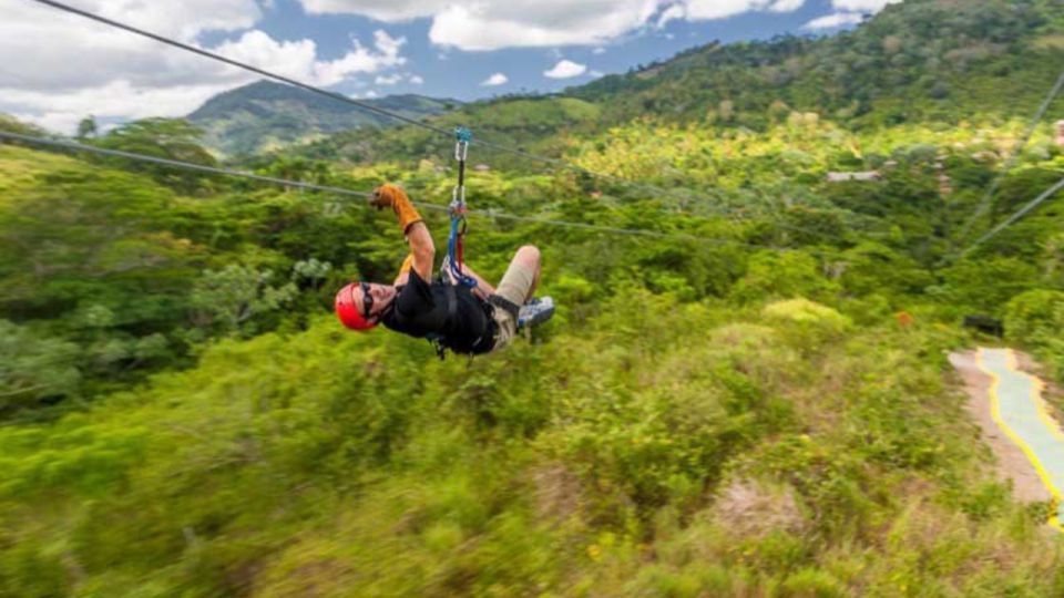 Rainforest Ziplining Adventure - Exciting Adventure Highlights