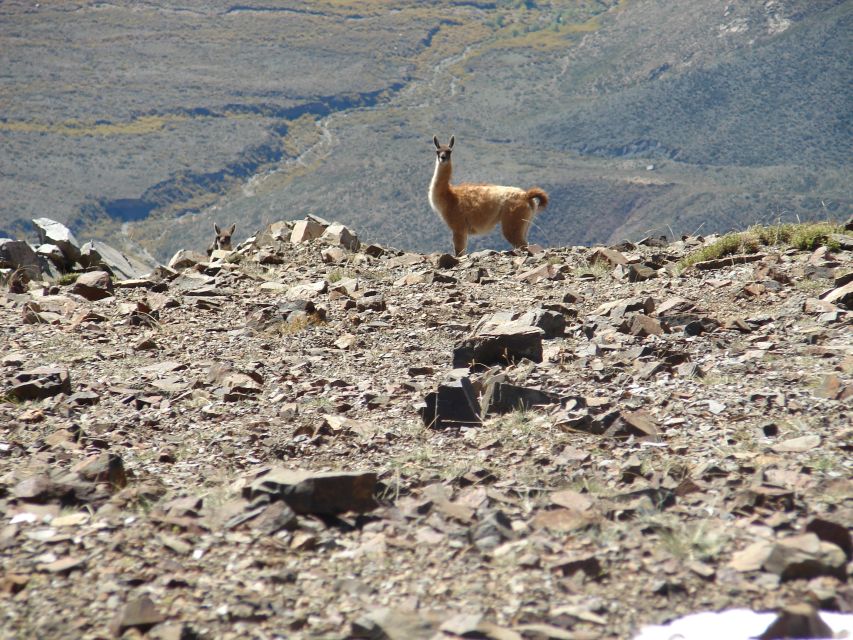 Rancho Gaucho Estate 3 Days in The Andes - Common questions