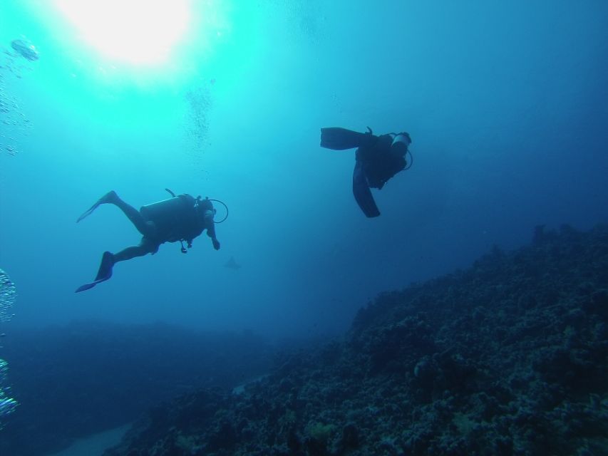 Ras Muhammad National Park: Diving Boat Trip From Sharm - Inclusions Provided in the Tour Package