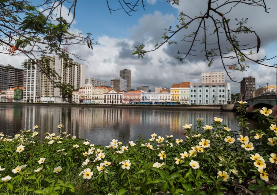 Recife: City Tour Recife & Olinda - Feedback