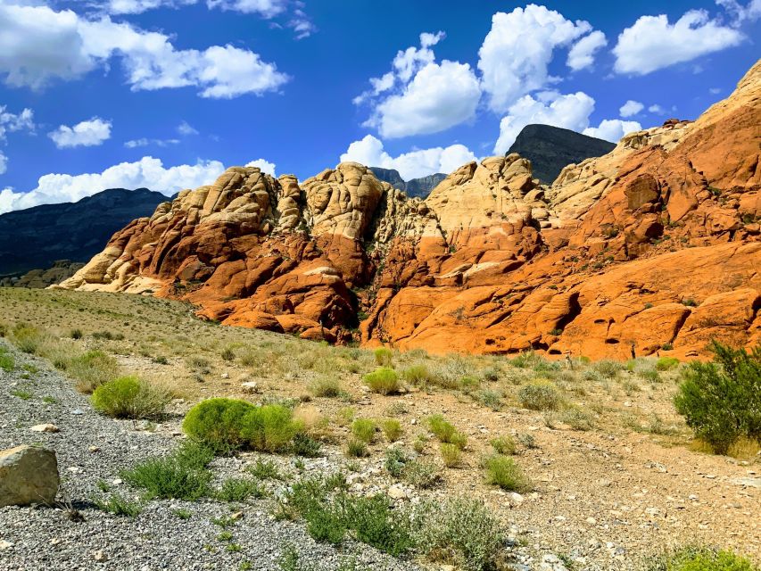 Red Rock Canyon & Whimsical World of Cactus Joe's Lunch - Contact Information