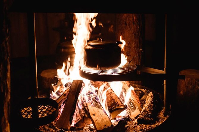 Reindeer Camp Dinner With Chance of Northern Lights in Tromso - Witness the Northern Lights