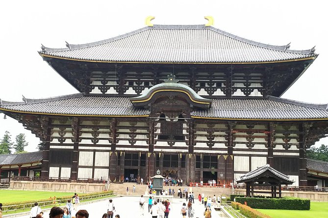 Relax in Nara: Deer Park, Todai-ji Temple and Merchants Town - Viator and Tripadvisor Reviews